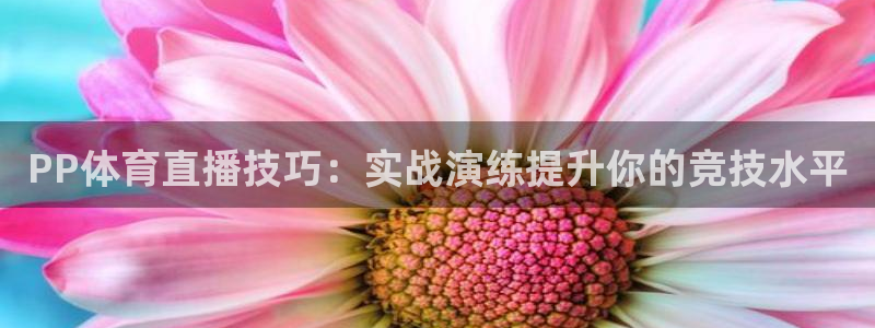 PP体育直播技巧：实战演练提升你的竞技水平
