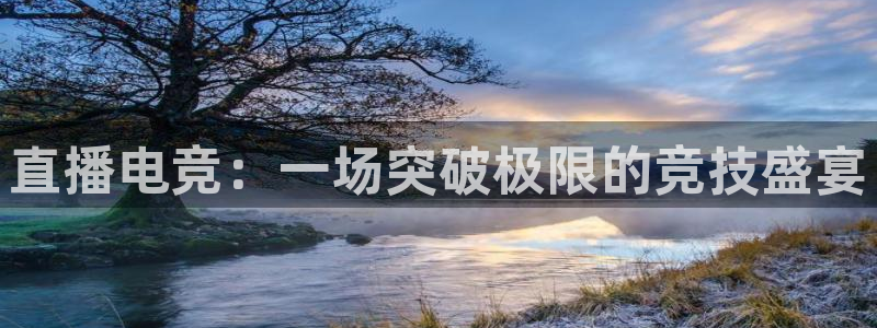 直播电竞：一场突破极限的竞技盛宴