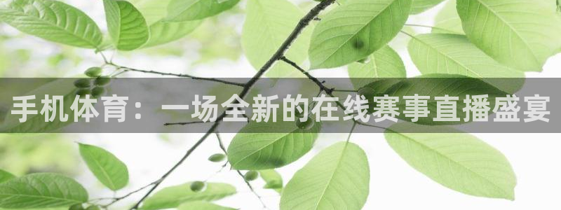 手机体育：一场全新的在线赛事直播盛宴
