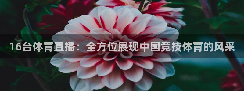 16台体育直播：全方位展现中国竞技体育的风采