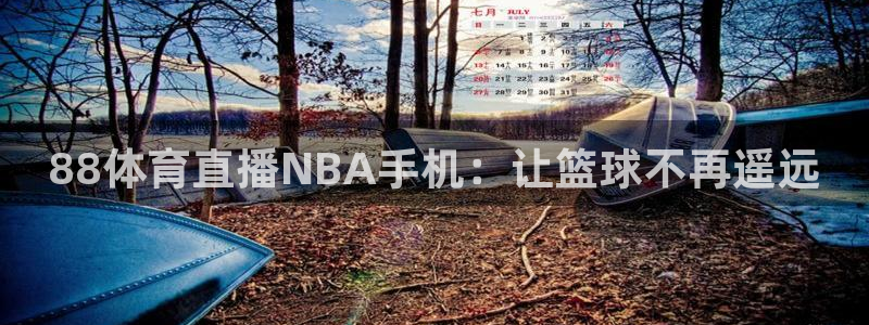 88体育直播NBA手机：让篮球不再遥远