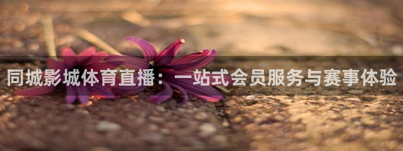 同城影城体育直播：一站式会员服务与赛事体验