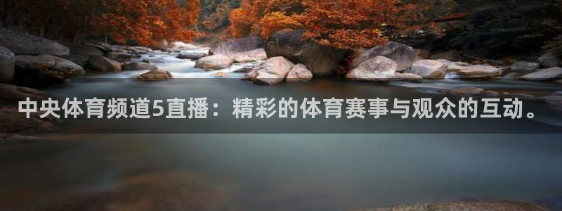 中央体育频道5直播：精彩的体育赛事与观众的互动。