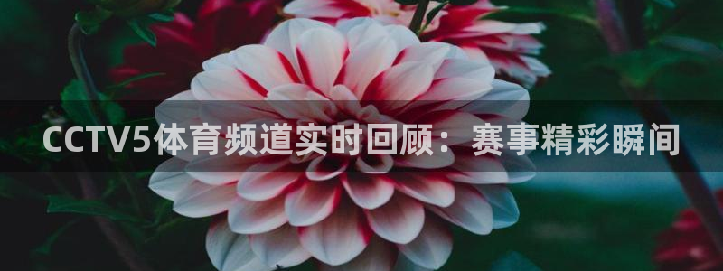 CCTV5体育频道实时回顾：赛事精彩瞬间